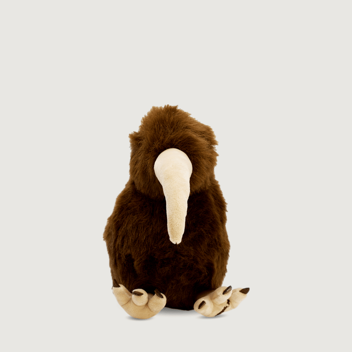 Barry The Brown Kiwi