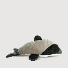 Hugo The Hector's Dolphin