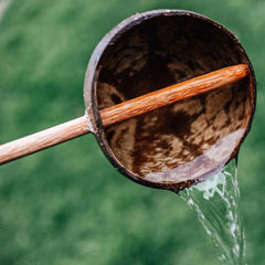 Coconut Water Scoop