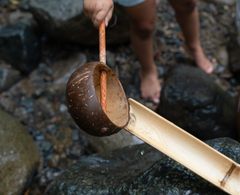 Coconut Water Scoop