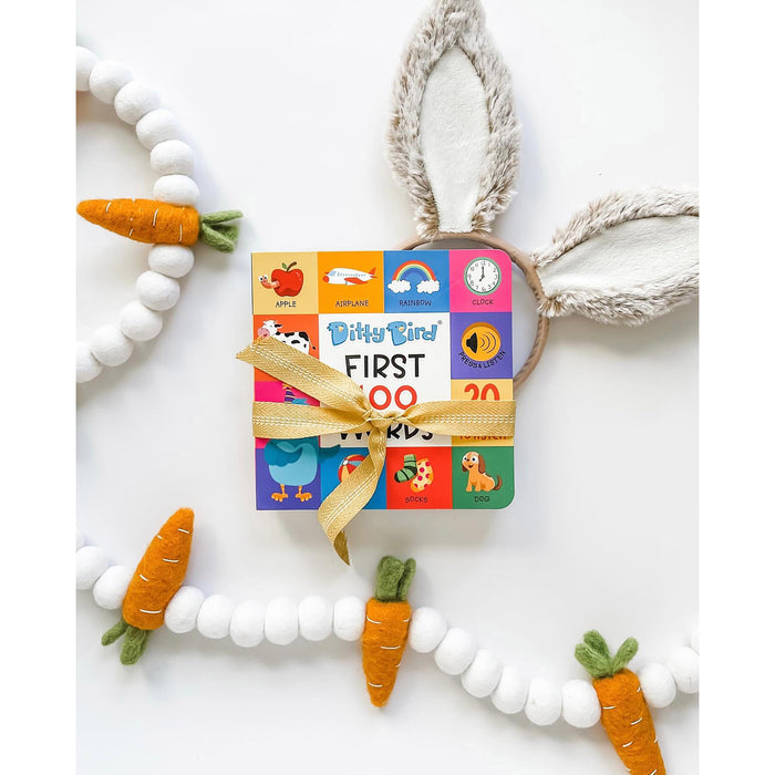Ditty Bird Sound Book - First 100 Words