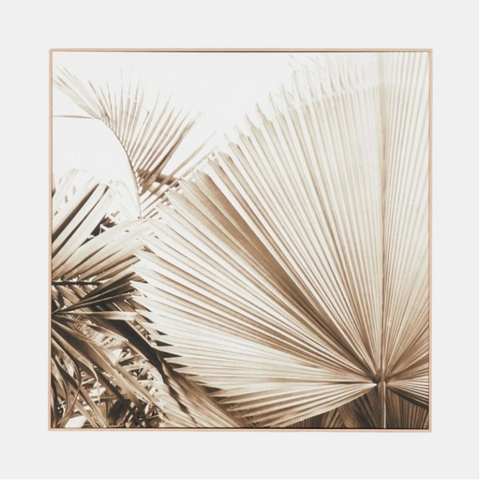 Framed Canvas Desert Palm 1