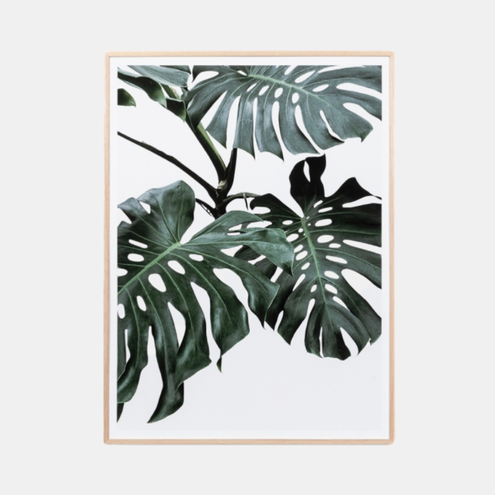 Framed Print - Monstera Portrait