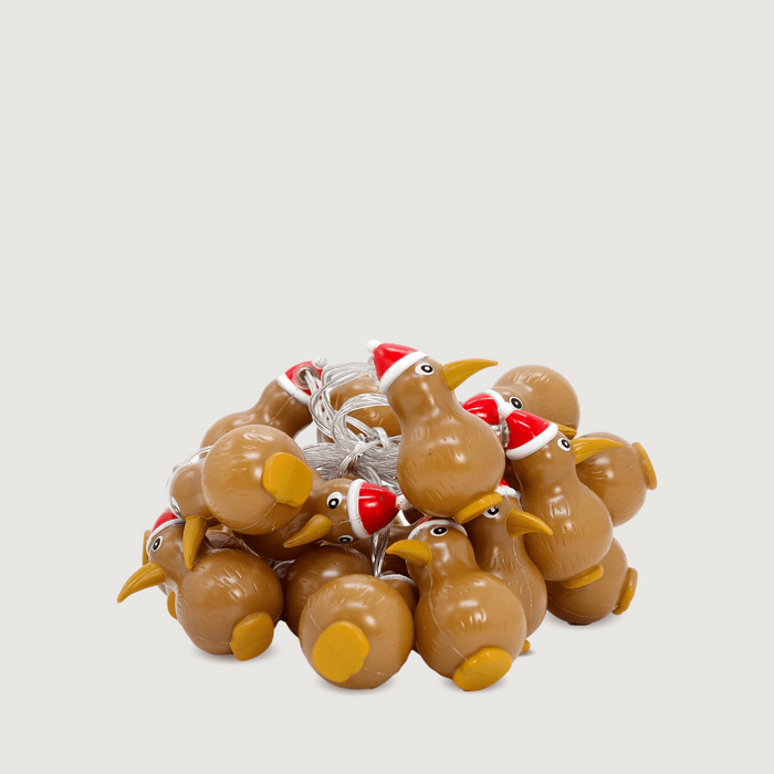 Kiwi Christmas Lights