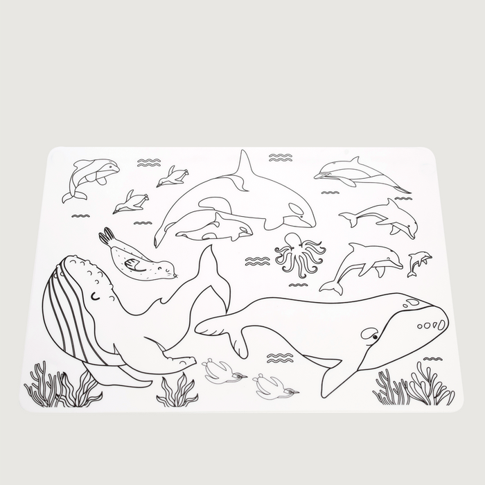 Silicone Colour-In Placemat