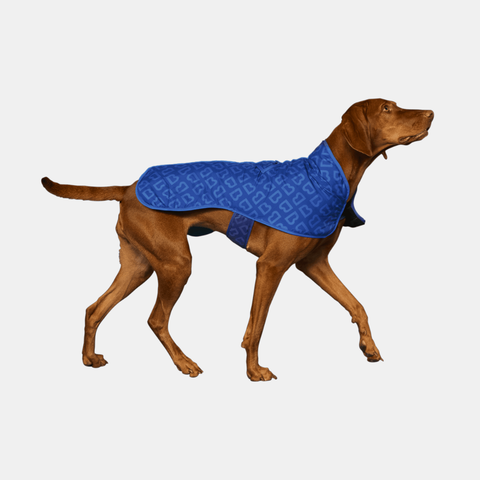 Blunt Blue Dog Coat - Medium