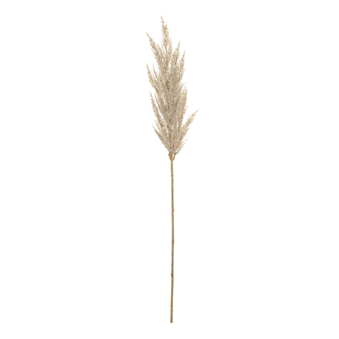 Pampas Grass Spray - 92cm Cream