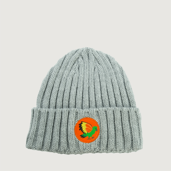 Kids Beanies