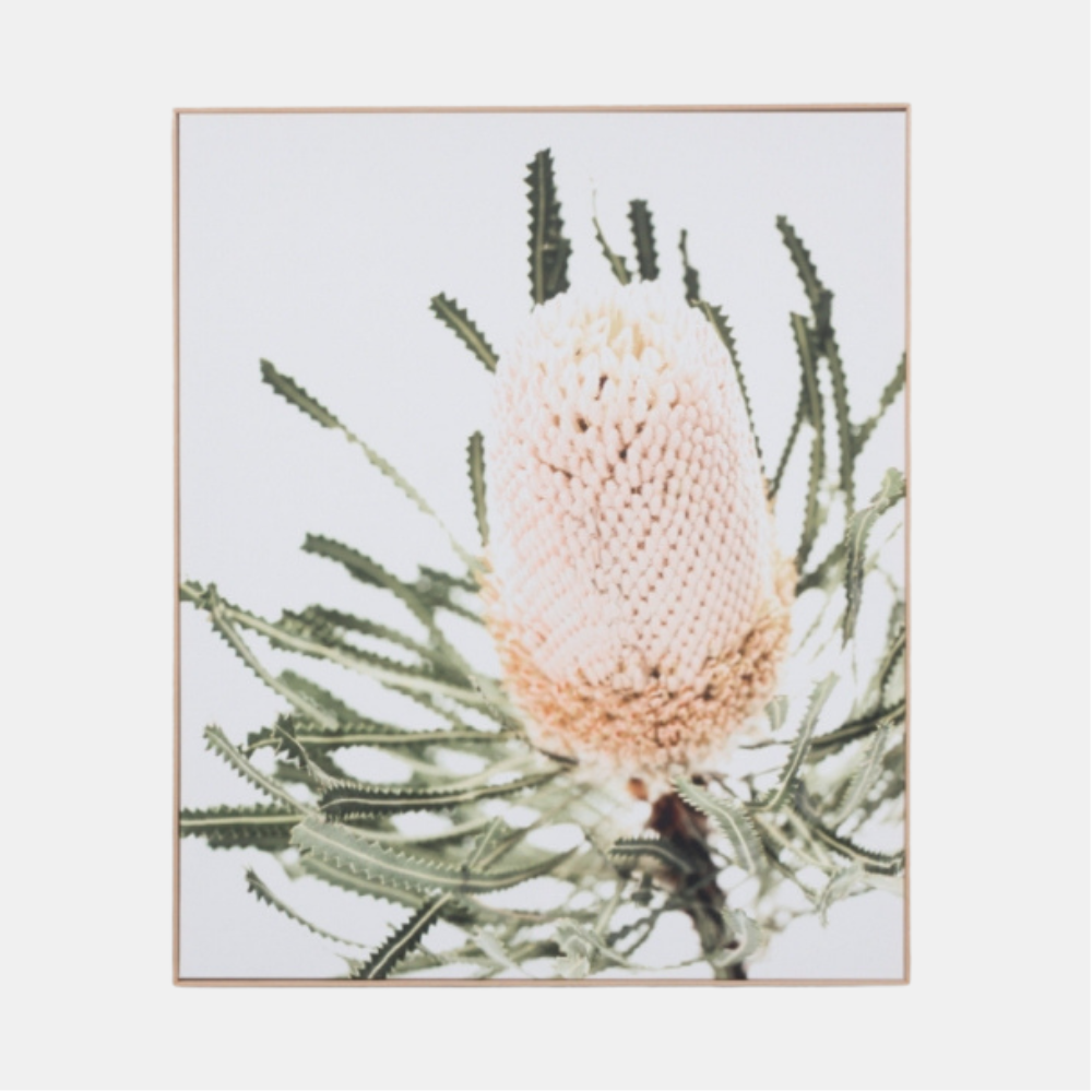 Framed Canvas Banksia