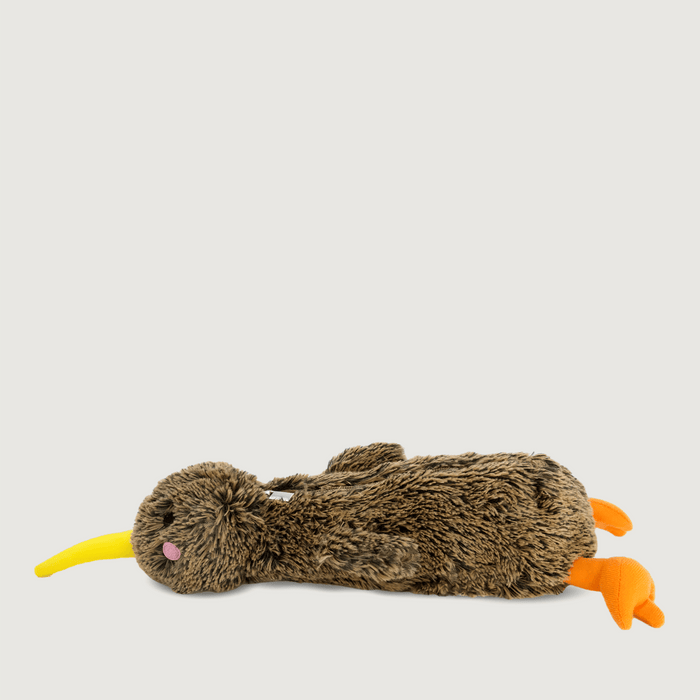 Kiwi Pencil Case