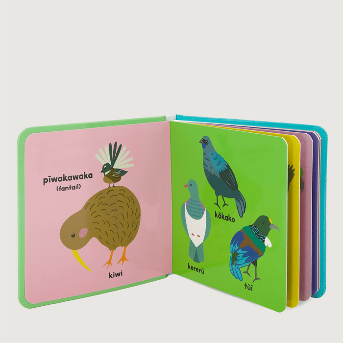 Animals of Aotearoa