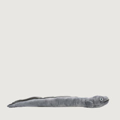 Ellie the Longfin Eel