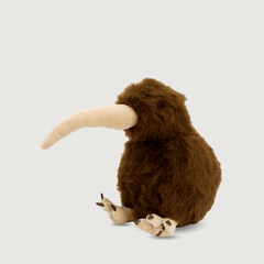 Barry The Brown Kiwi