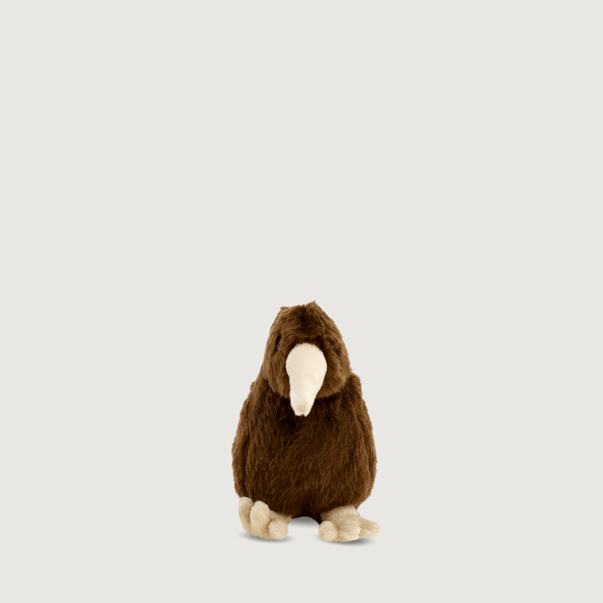 Barry The Brown Kiwi