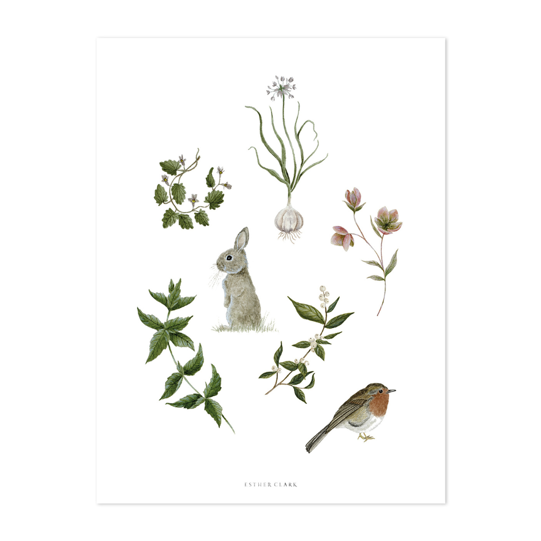 Wellington | Winter Tale Art Print