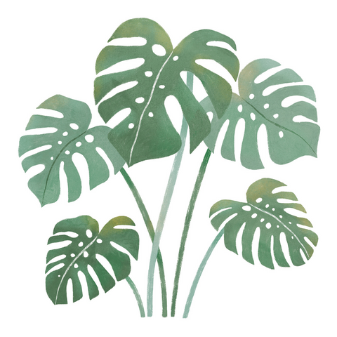 YATSUNI Jungle | Wall Decals Monstera Leaves TUBE