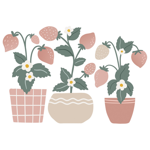 Louise | Wall Decals - Strawberry Plants in TUBE