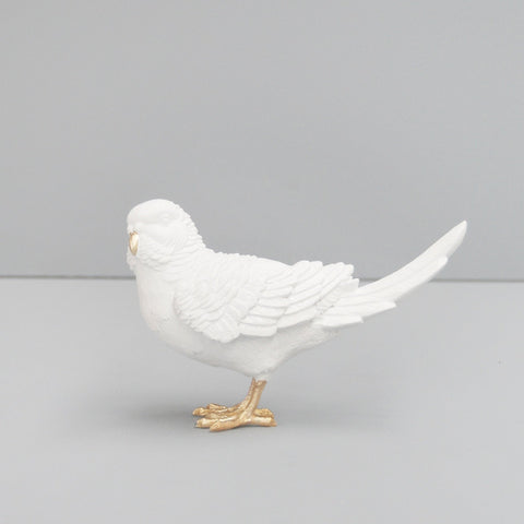 Budgie - White /Gold