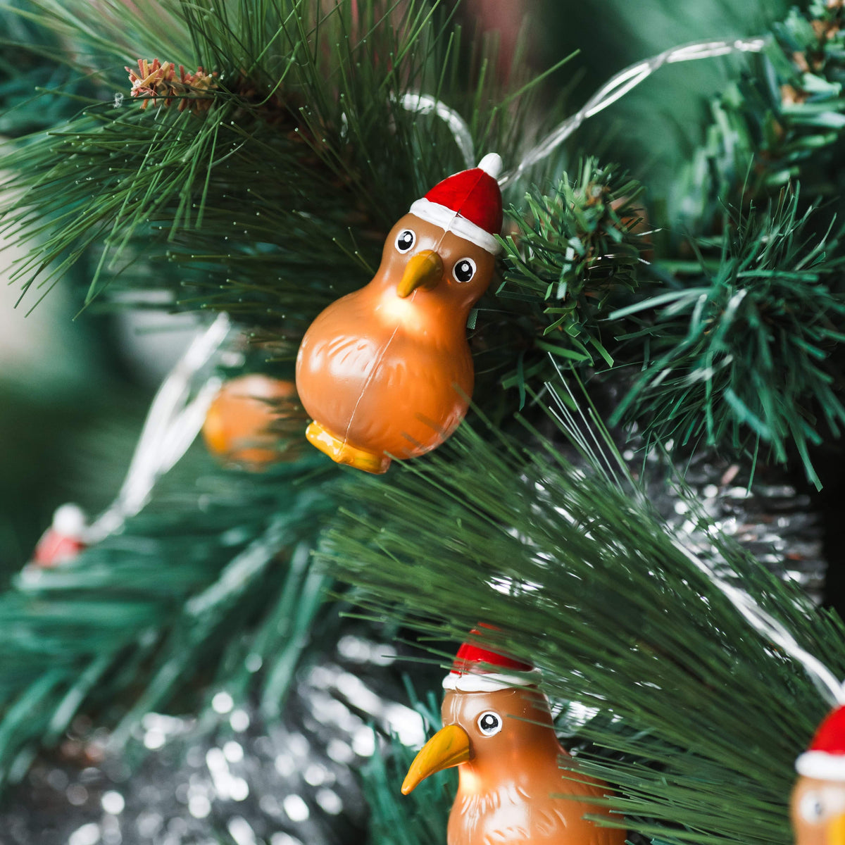 Kiwi Christmas Lights