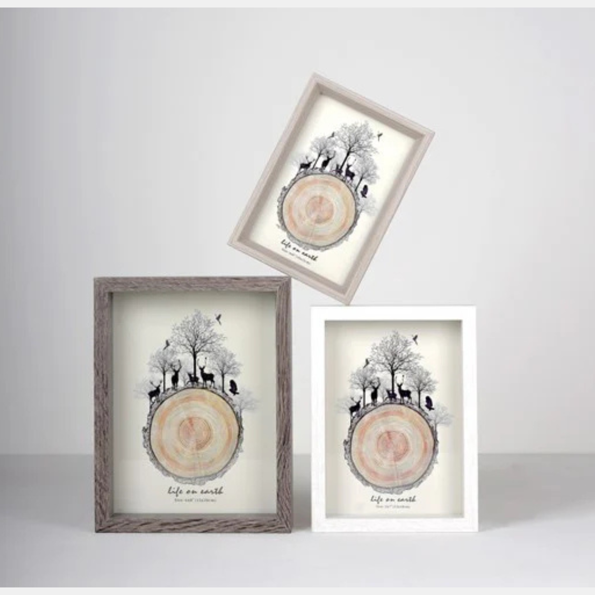 Photo Frame Set of 3 - Three Wood