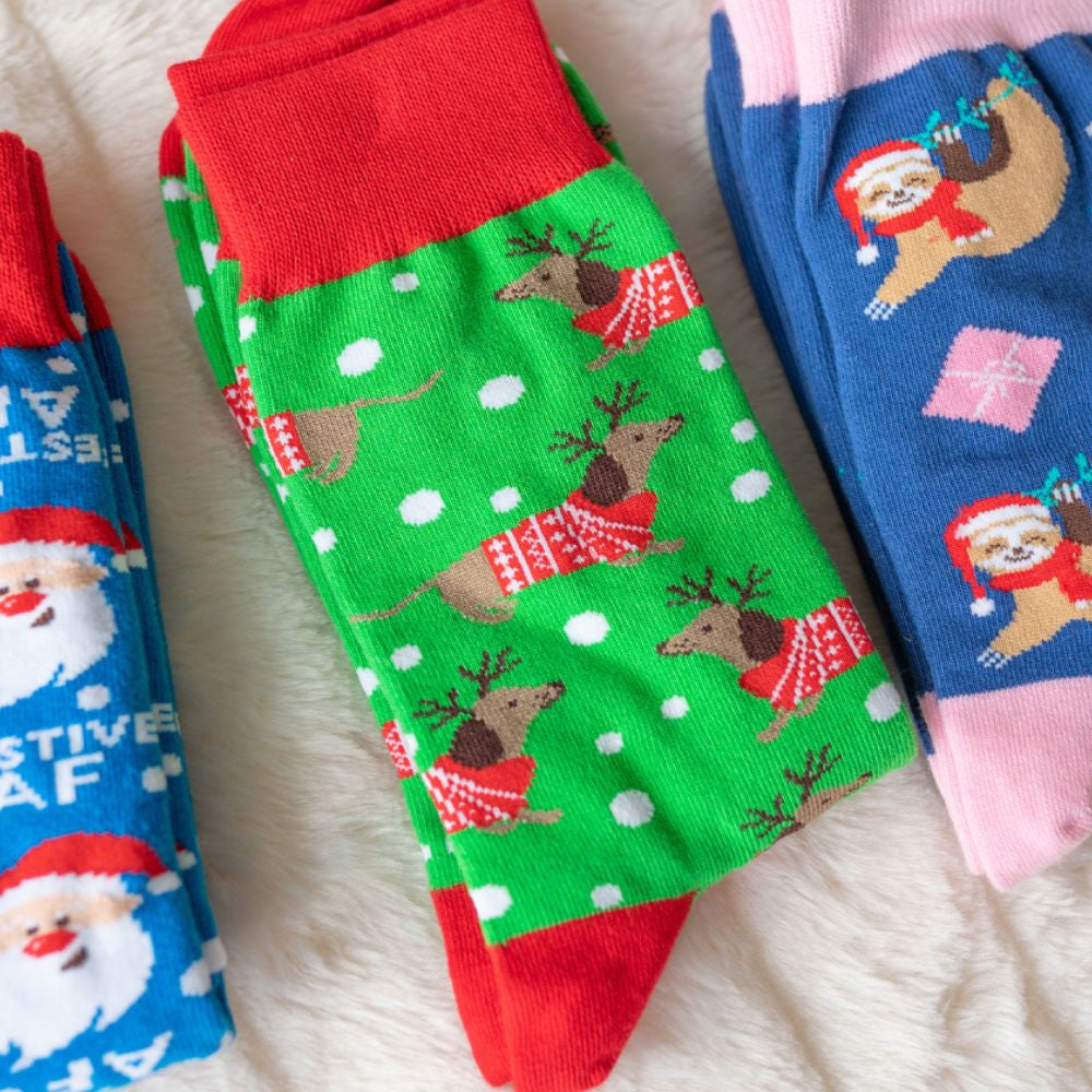 Splosh Christmas Socks - Dachshund