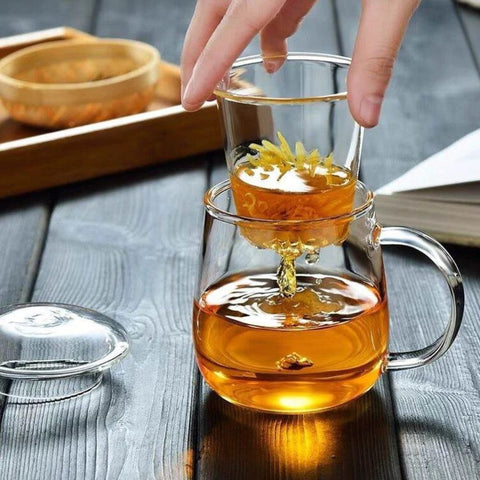 Vitals Glass Tea Cup With Infuser