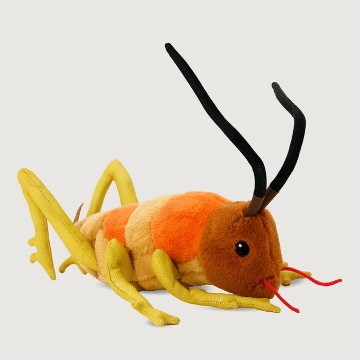 Wiremu the Wētā