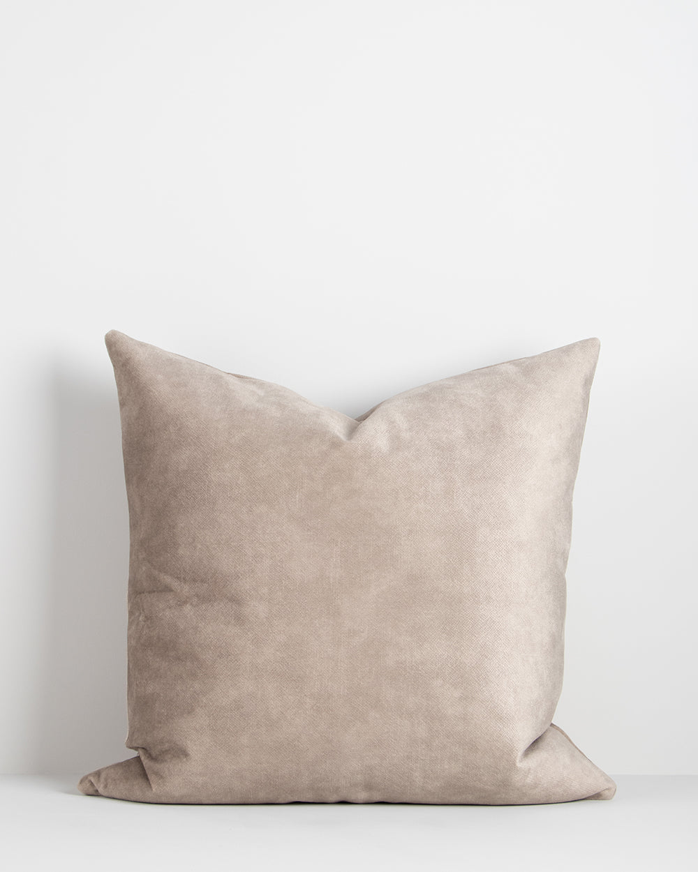 Aster Oyster Cushion