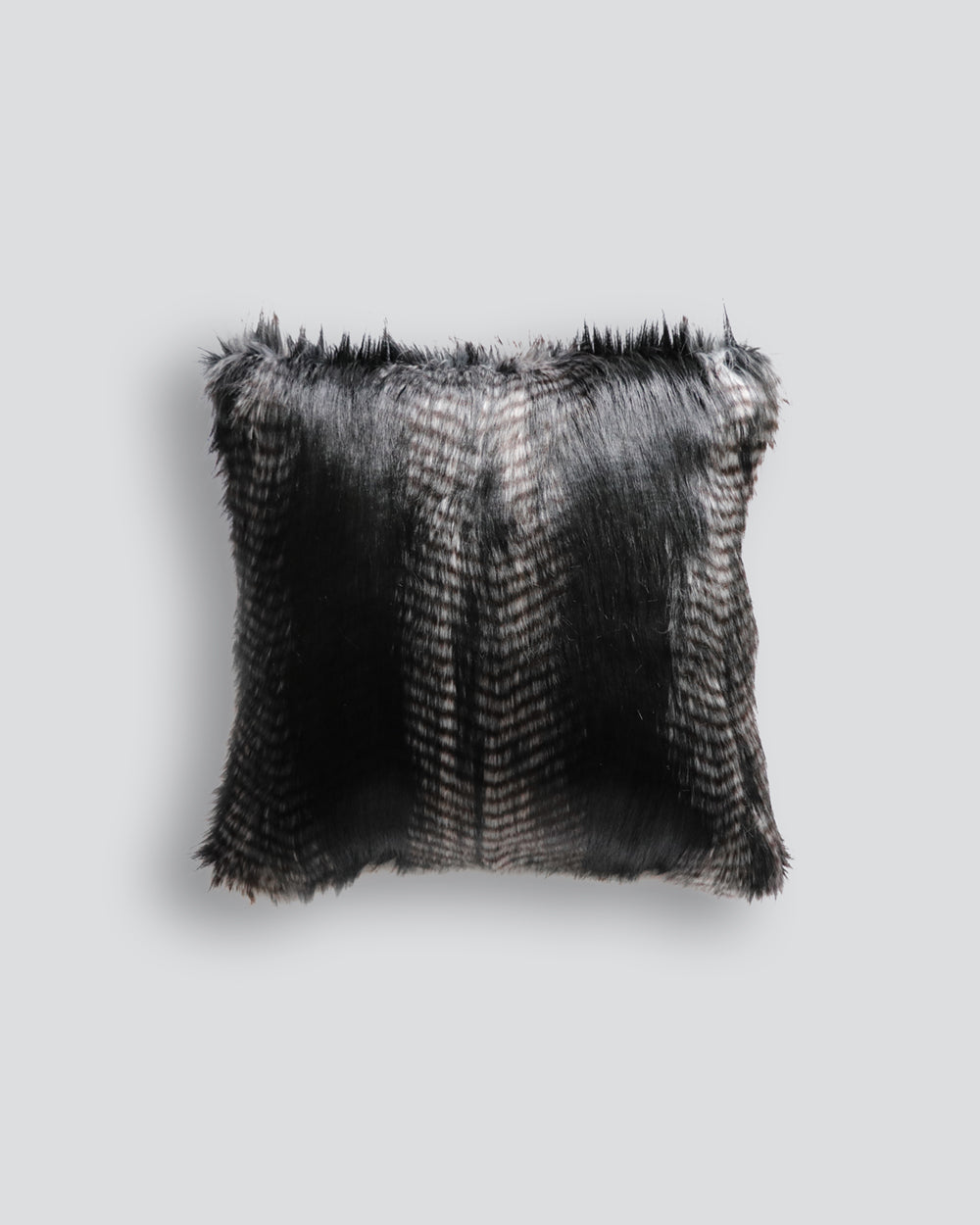 Black Coyote Square Cushion