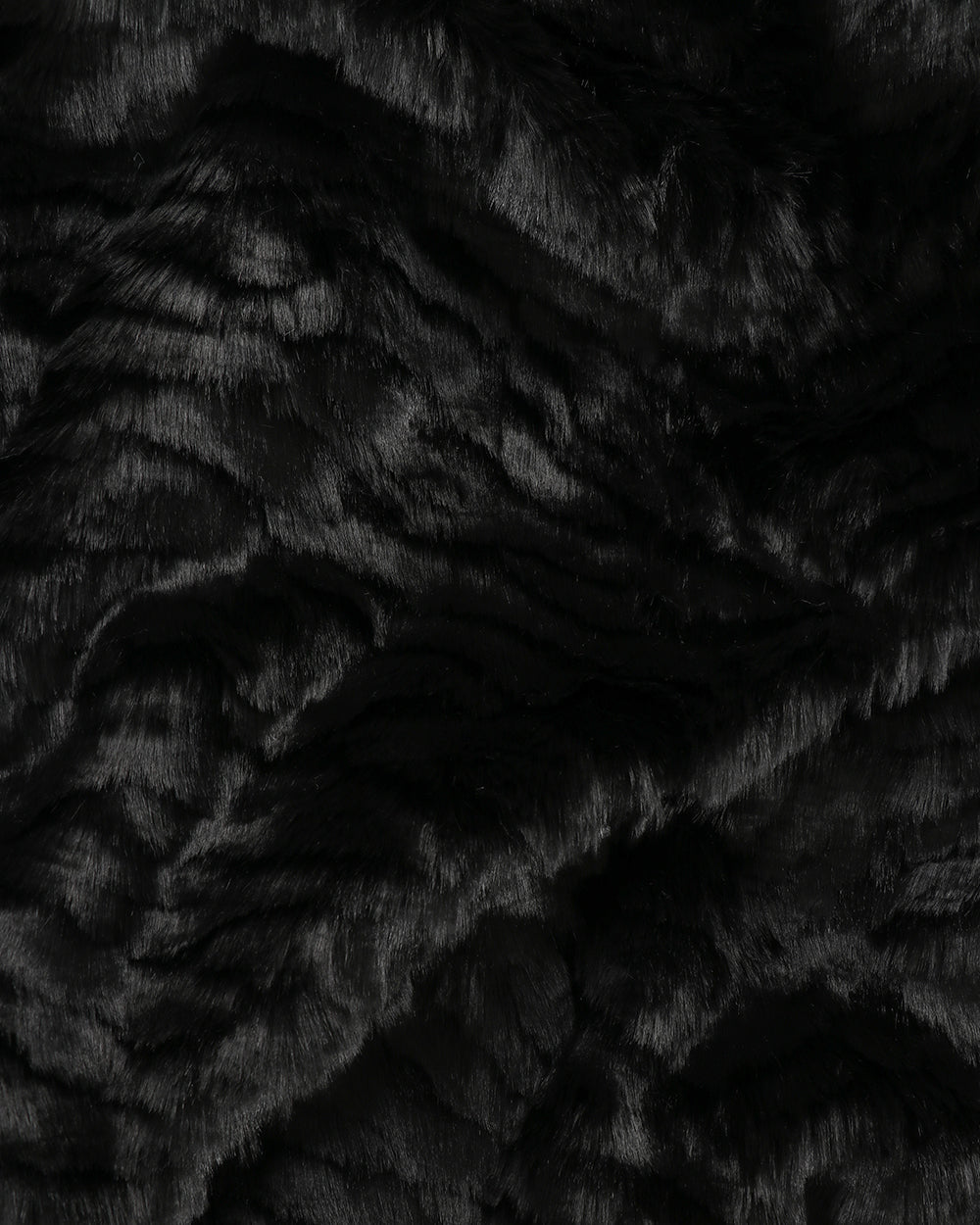 Black Tiger Square Cushion