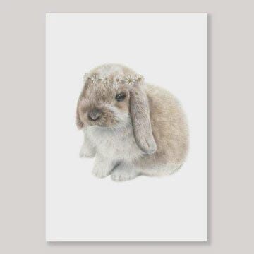 Daisy Bunny - A4 Print