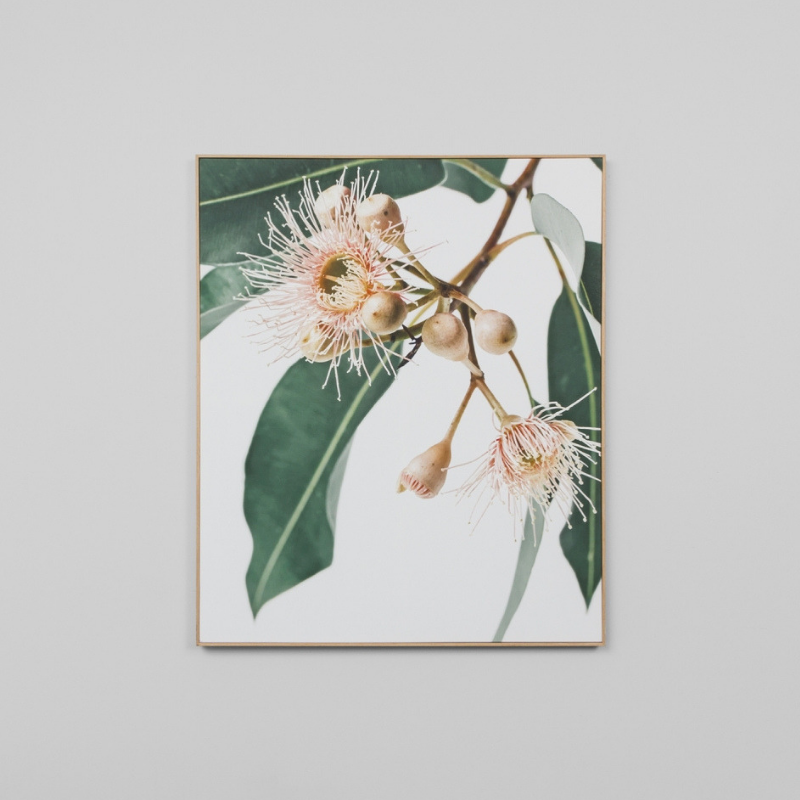 Framed Canvas Eucalyptus Flower 2 Can