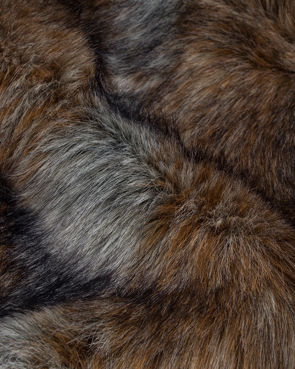 Golden Jackal Rectangular Cushion