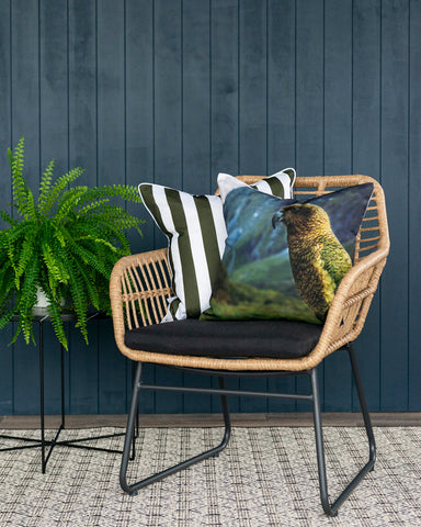 NZ Kea Cushion