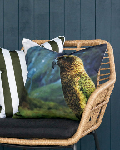 NZ Kea Cushion