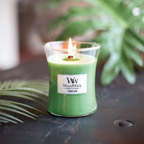 Medium WoodWick Scented Soy Candle - Palm Leaf