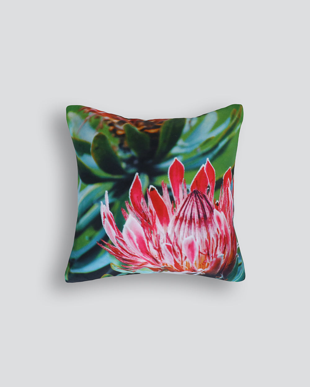 Protea Cushion