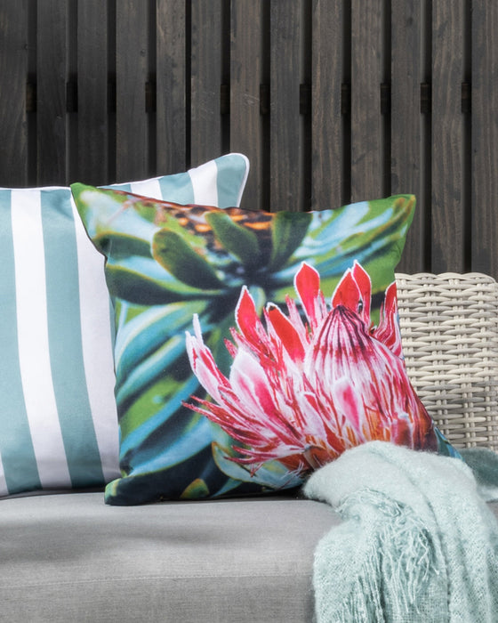 Protea Cushion