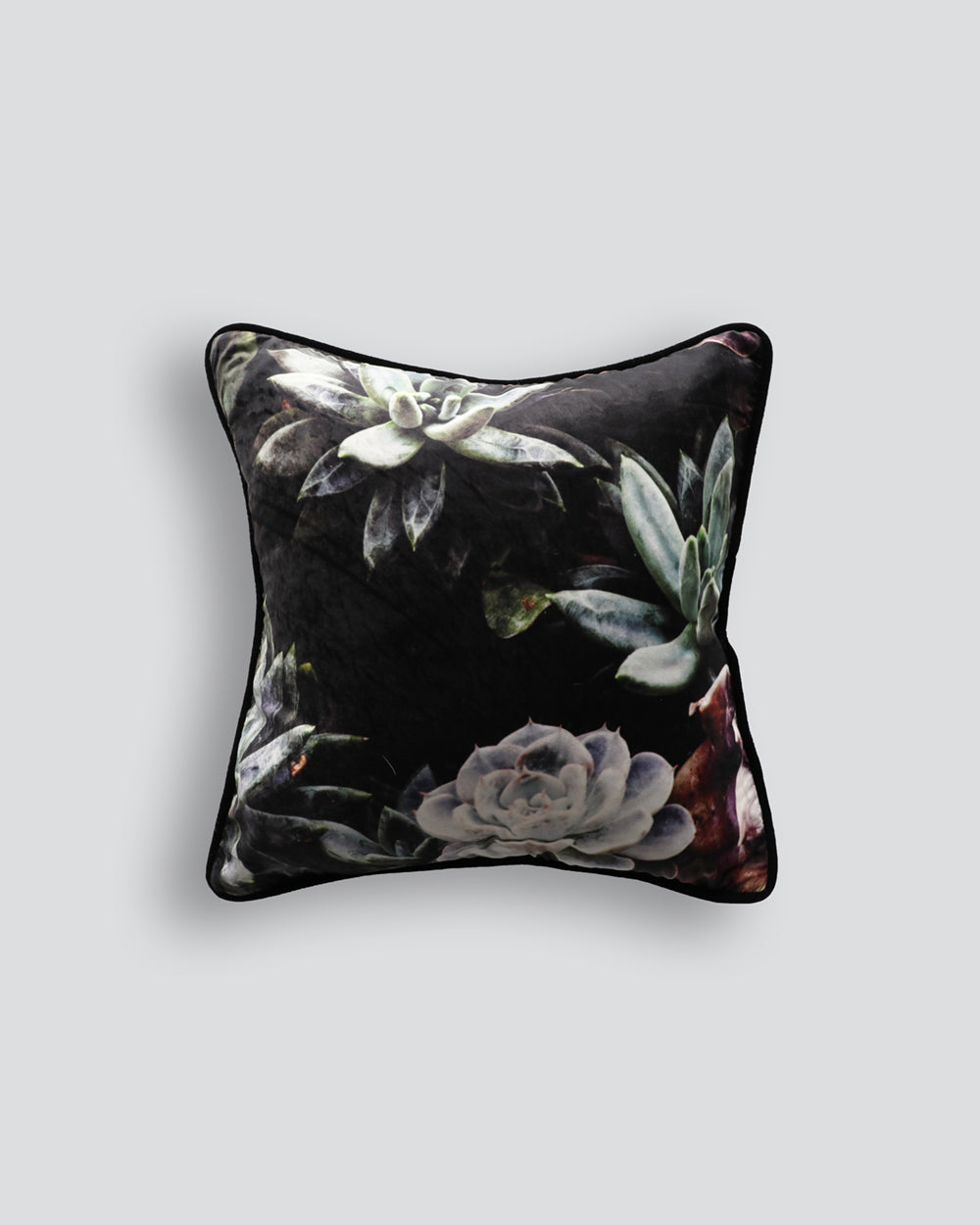 Dark Botanic Succulent Frost Cushion