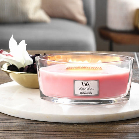 Ellipse WoodWick Scented Soy Candle - Melon Blossom