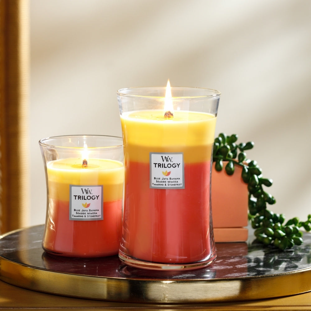 Large Trilogy WoodWick Scented Soy Candle - Tropical Sunrise